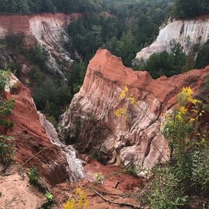 Meet your Posher, Bryant